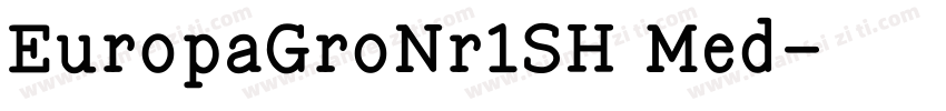 EuropaGroNr1SH Med字体转换